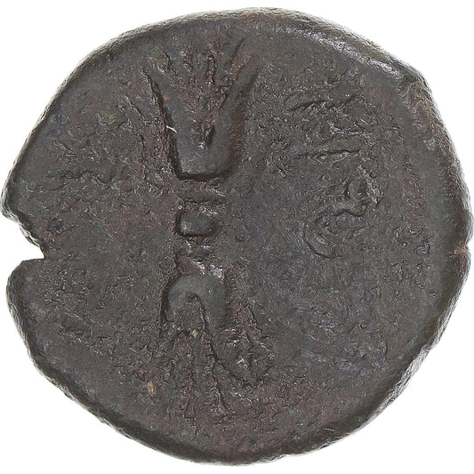 Κέρμα,
Bruttium,
Æ