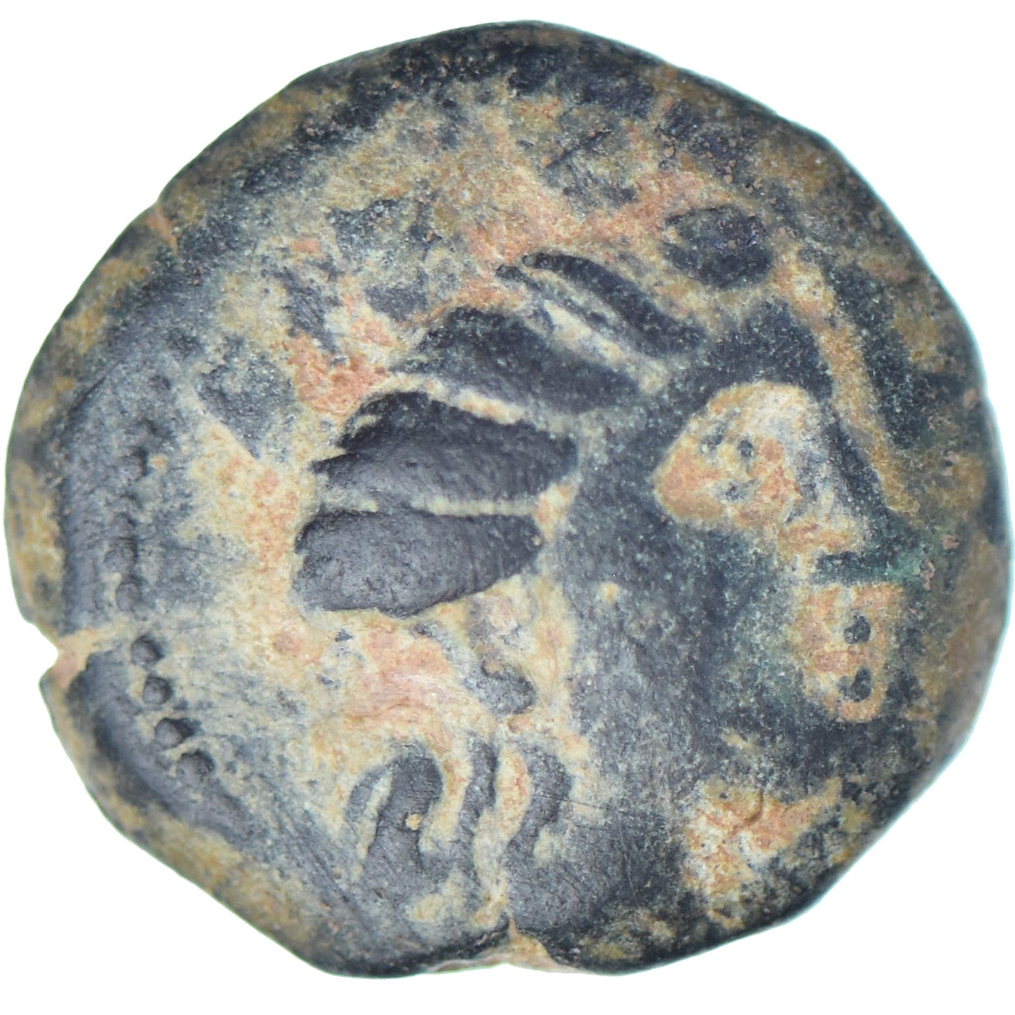Φοινίκη,
Æ,
242-166 π.Χ