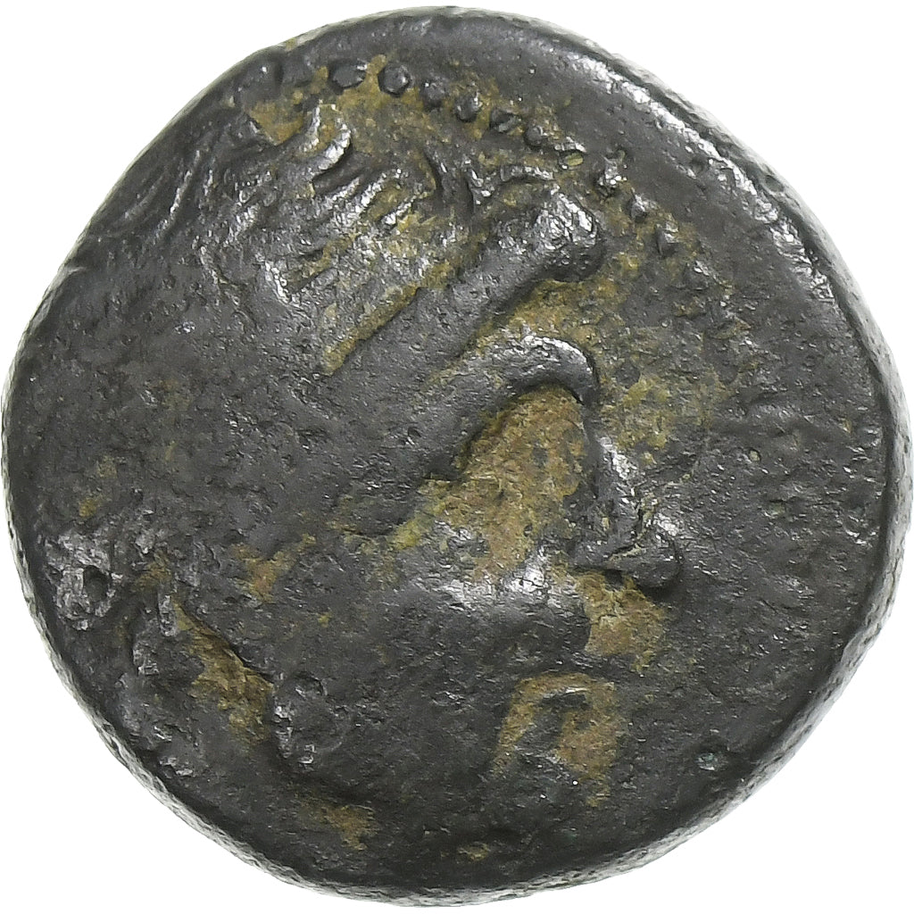 Αντίοχος Γ',
Æ Μονάδα,
περ. 223-210 π.Χ
