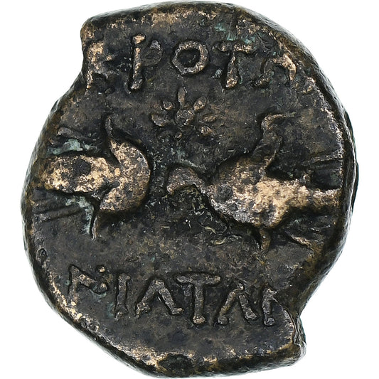Bruttium,
Χάλκινο Æ,
Κρότο